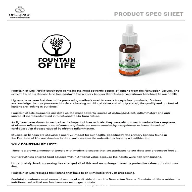 FOL - Three Bottles - Image 2